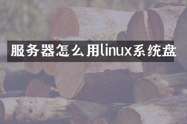 服务器怎么用linux系统盘