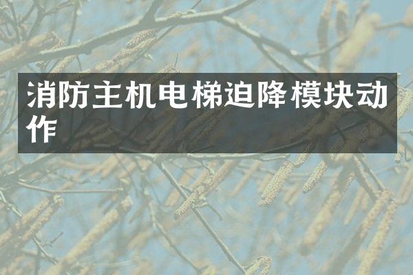 消防主机电梯迫降模块动作