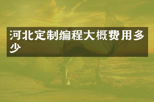 河北定制编程大概费用多少