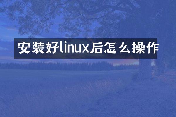 安装好linux后怎么操作