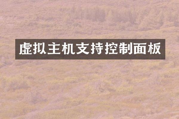 虚拟主机支持控制面板