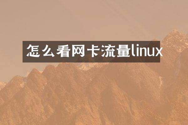 怎么看网卡流量linux