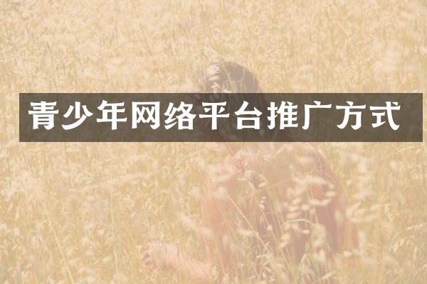 青少年网络平台推广方式