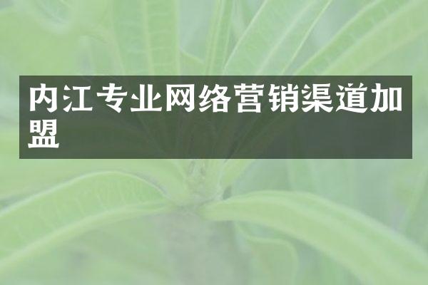 内江专业网络营销渠道加盟
