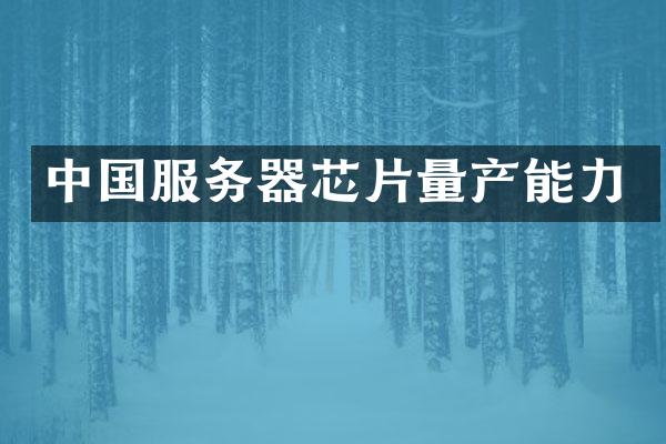 中国服务器芯片量产能力