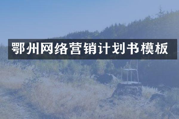 鄂州网络营销计划书模板