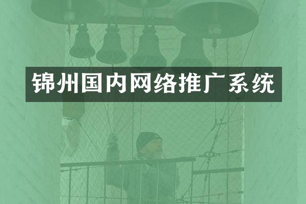 锦州国内网络推广系统
