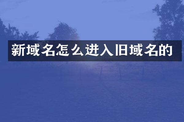 新域名怎么进入旧域名的