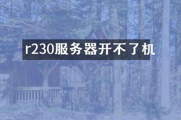 r230服务器开不了机