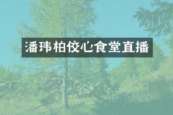 潘玮柏佼心食堂直播