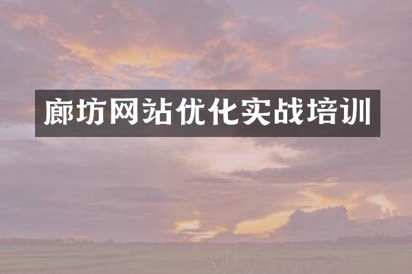 廊坊网站优化实战培训