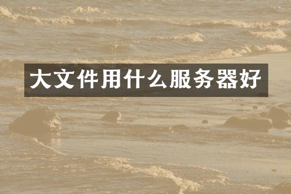 大文件用什么服务器好