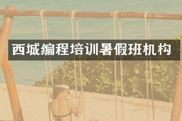 西城编程培训暑假班机构