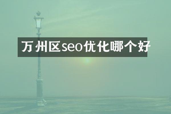 万州区seo优化哪个好
