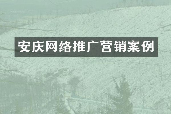 安庆网络推广营销案例
