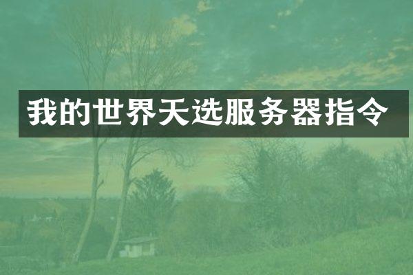 我的世界天选服务器指令