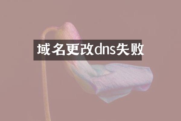 域名更改dns失败