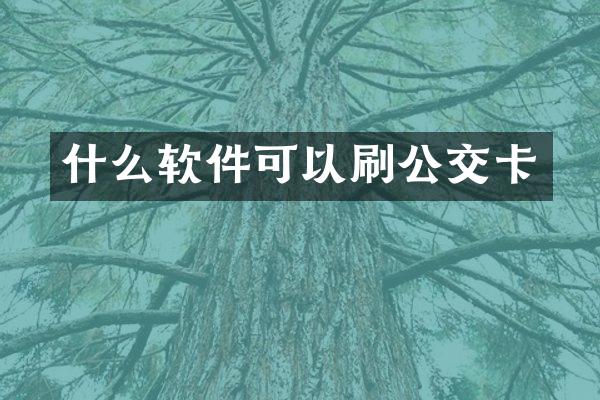 什么软件可以刷公交卡