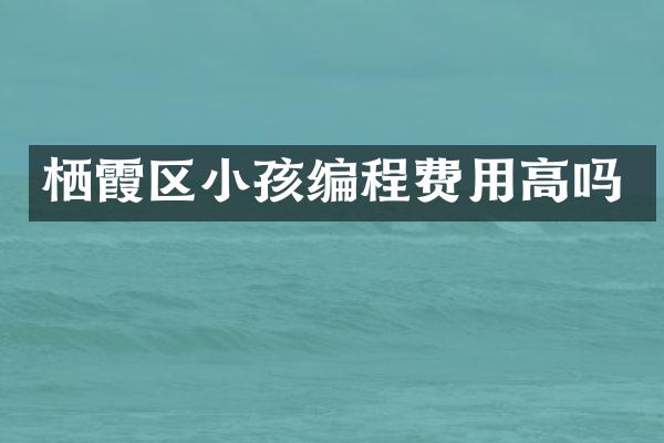 栖霞区小孩编程费用高吗
