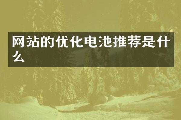 网站的优化电池推荐是什么