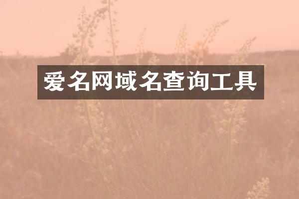 爱名网域名查询工具