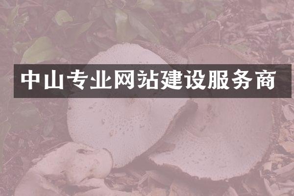 中山专业网站建设服务商
