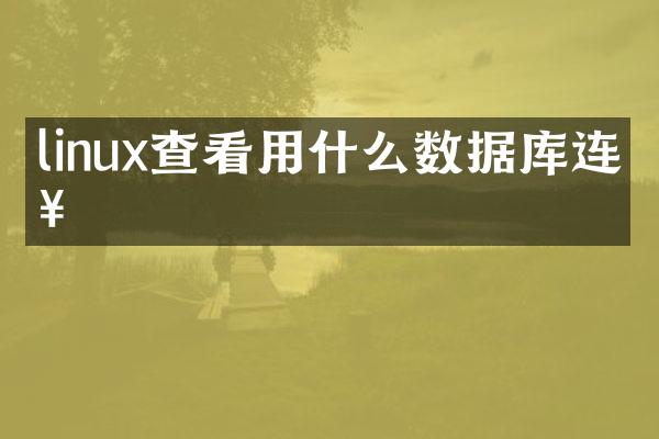 linux查看用什么数据库连接