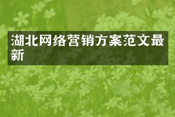 湖北网络营销方案范文最新
