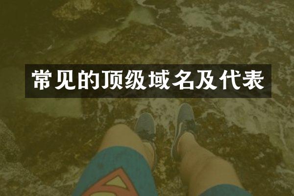 常见的顶级域名及代表