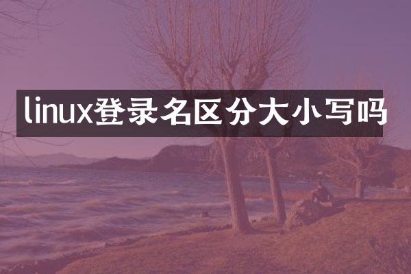 linux登录名区分大小写吗