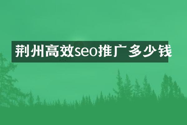 荆州高效seo推广多少钱