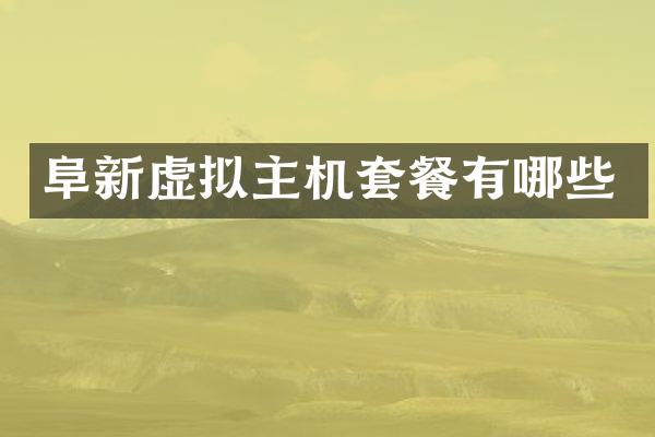 阜新虚拟主机套餐有哪些