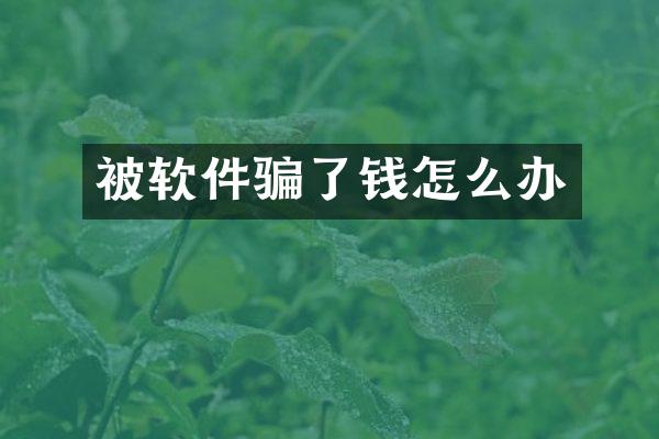 被软件骗了钱怎么办
