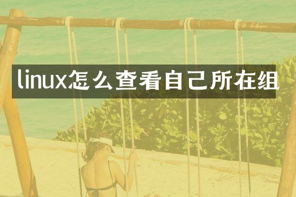 linux怎么查看自己所在组
