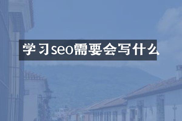 学习seo需要会写什么