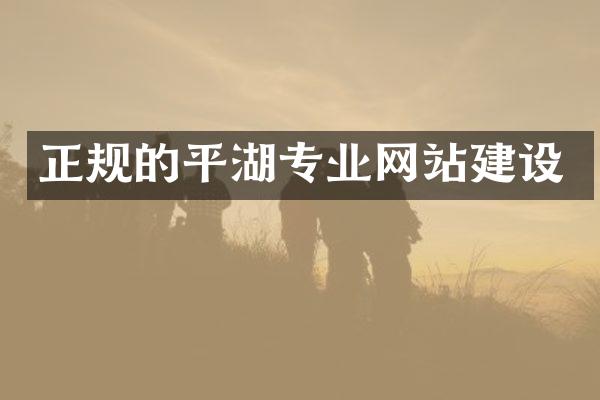 正规的平湖专业网站建设