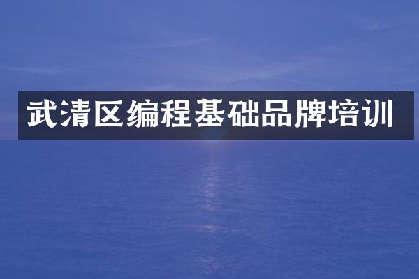 武清区编程基础品牌培训