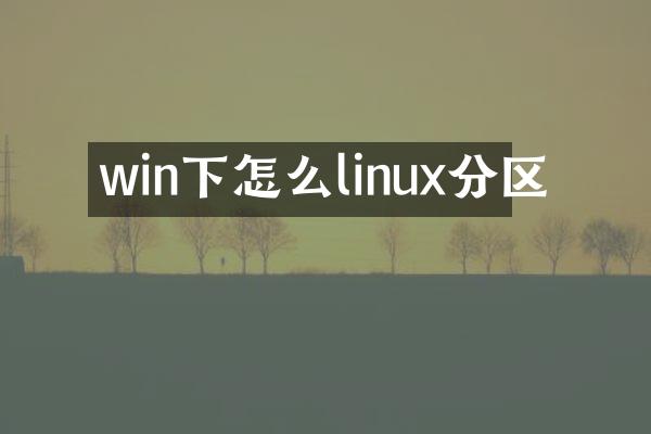 win下怎么linux分区