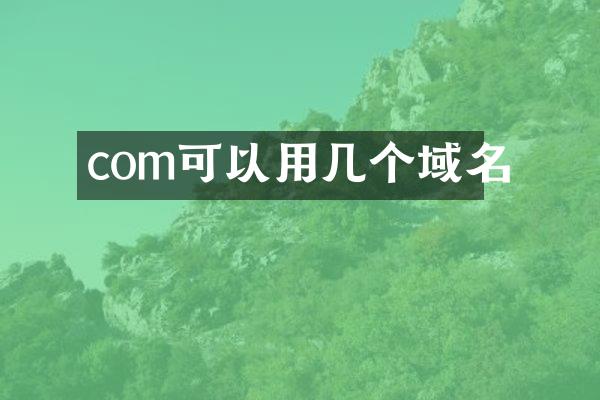 com可以用几个域名