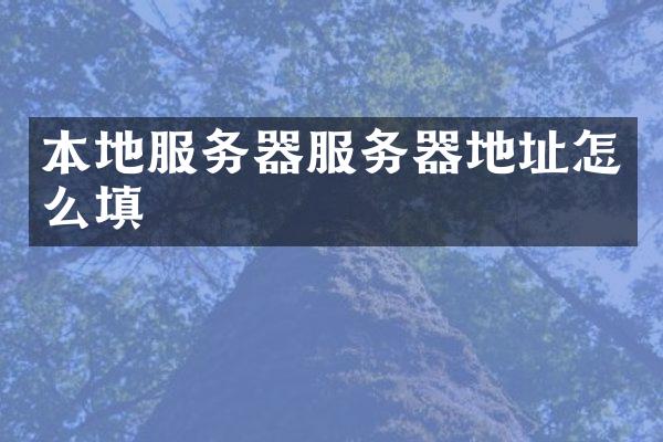 本地服务器服务器地址怎么填