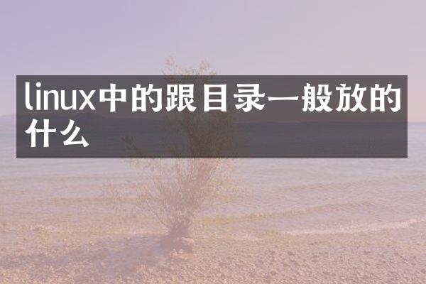 linux中的跟目录一般放的是什么