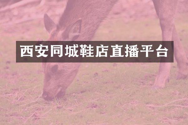 西安同城鞋店直播平台