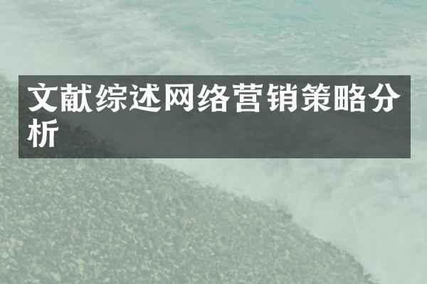 文献综述网络营销策略分析