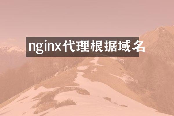 nginx代理根据域名