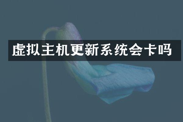 虚拟主机更新系统会卡吗