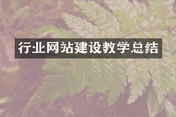 行业网站建设教学总结