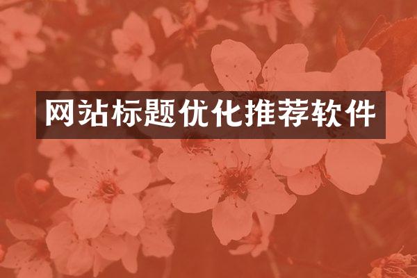 网站标题优化推荐软件