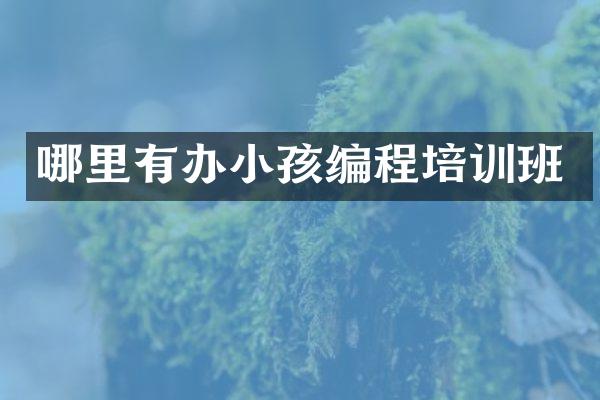 哪里有办小孩编程培训班