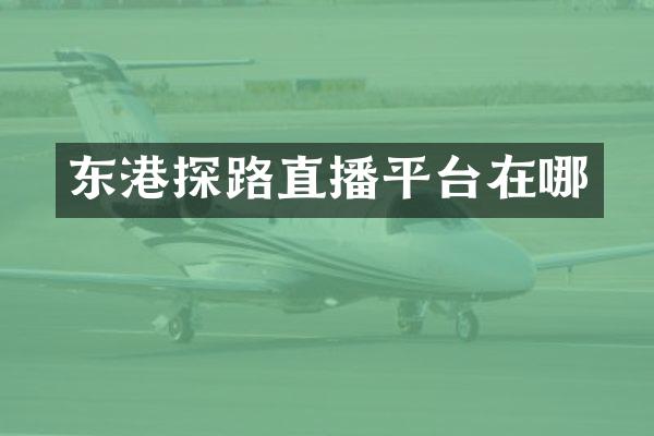 东港探路直播平台在哪