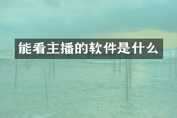 能看主播的软件是什么